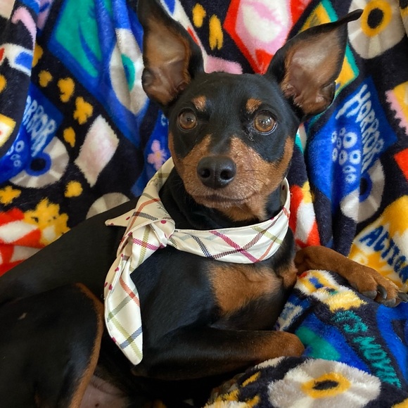 𝗪𝗲 𝗣𝗿𝗲𝗳𝗲𝗿 𝗖𝗢𝗔𝗖𝗛 - Picture 6 of 14